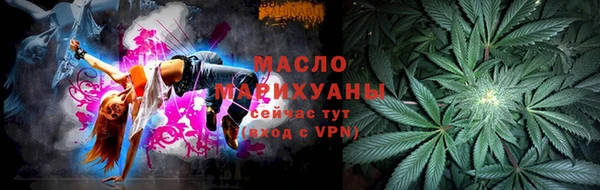 шишки Шилка
